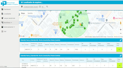 Gestão de Processos Customizados — NIP do Brasil